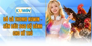 Đá Gà Thomo KUWIN - Sân Đấu 360 Độ Dành Cho Kê Thủ
