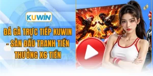 da ga truc tiep kuwin san dau tranh tien thuong x6 tien