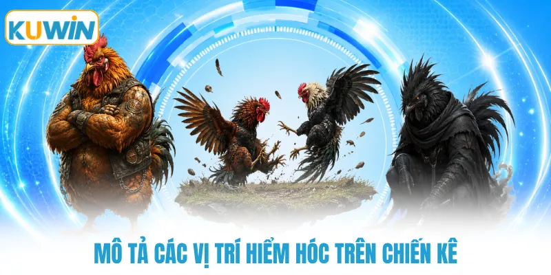 mo ta cac vi tri hiem hoc tren chien ke Mô tả các vị trí hiểm hóc trên chiến kê