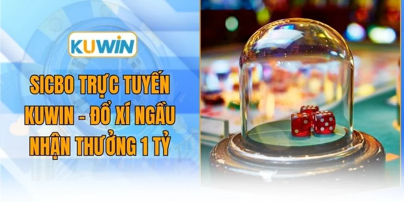sicbo truc tuyen kuwin do xi ngau nhan thuong 1 ty