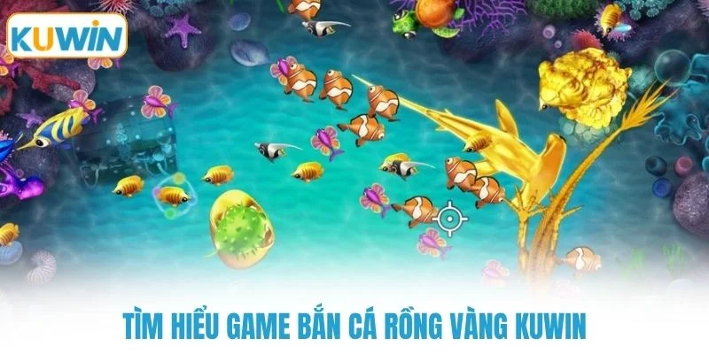 Tìm hiểu game bắn cá rồng vàng KUWIN